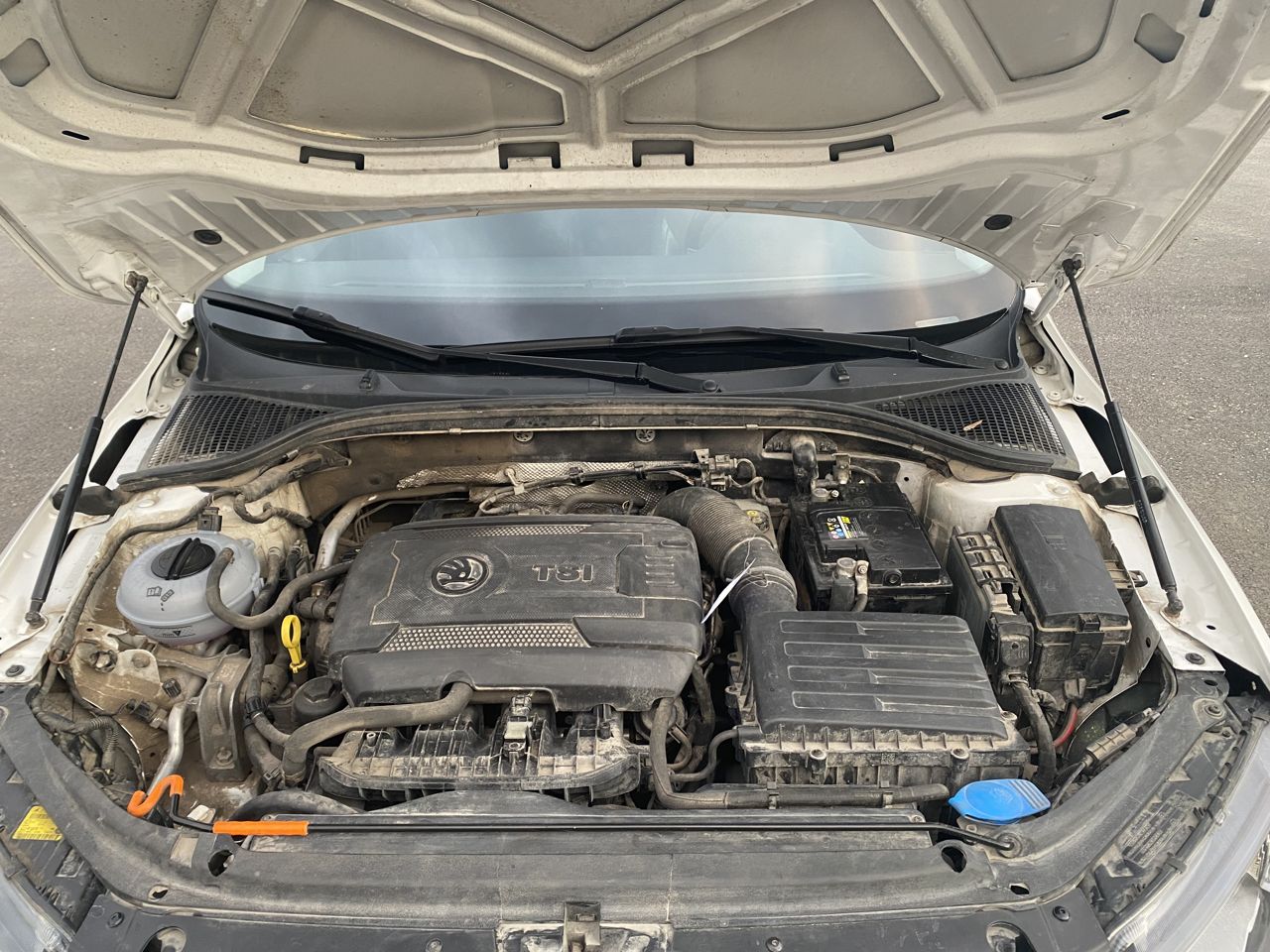 Skoda Octavia: фото владельца