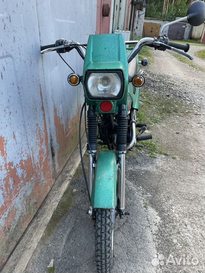 Зид 50 