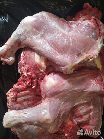 Мясо для собак