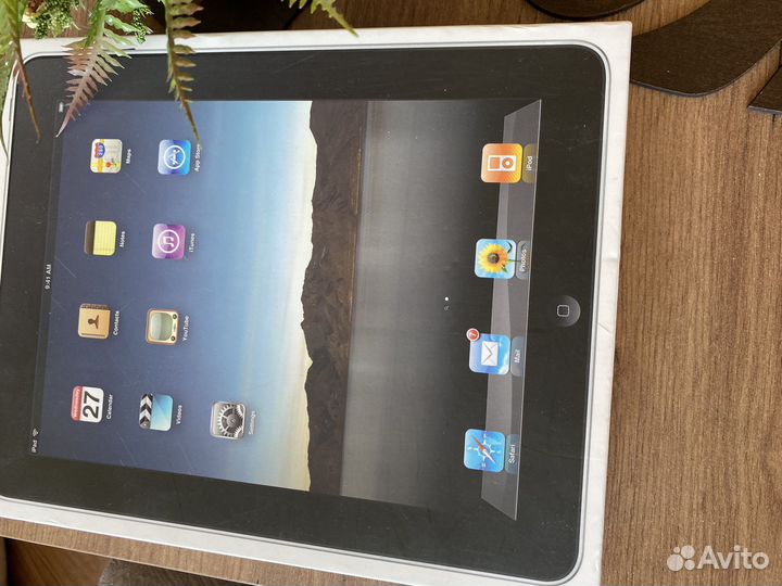 iPad