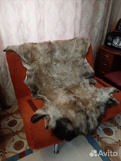 Овечья шкура ручной выделки(Есть Козья)