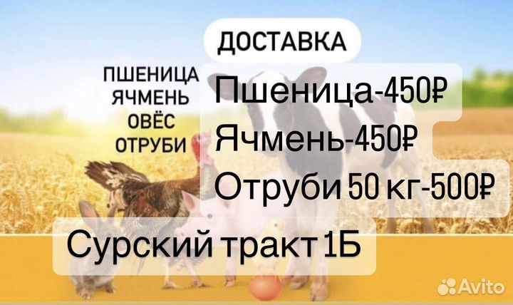 Пшеница, ячмень, отруби, овес, комбикорма