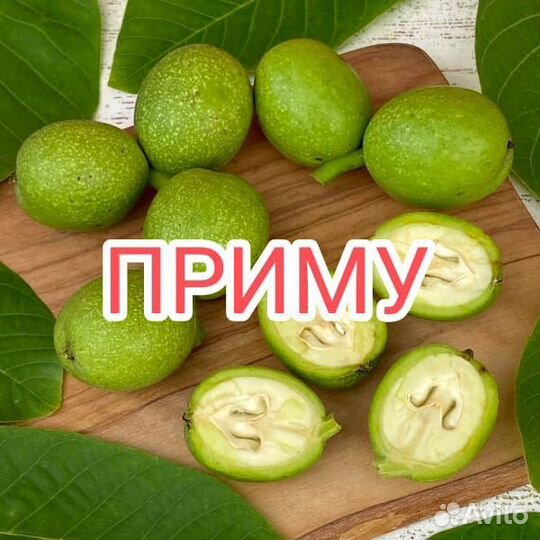 Зеленые грецкие орехи