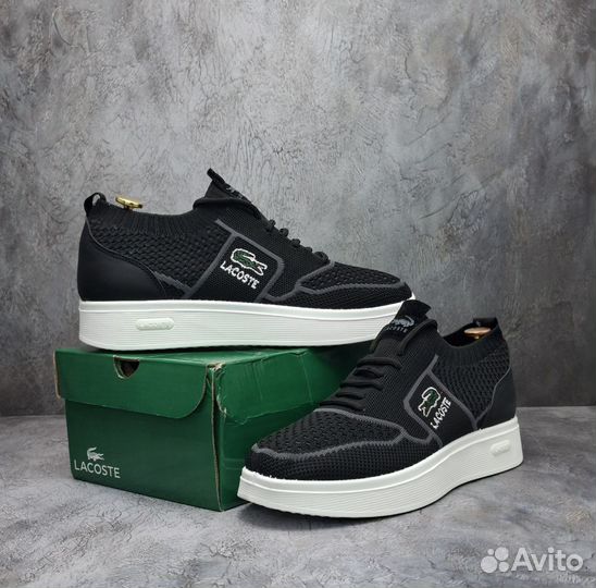 Кроссовки мужские lacoste