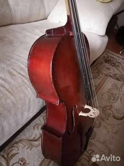 Виолончель 2/4