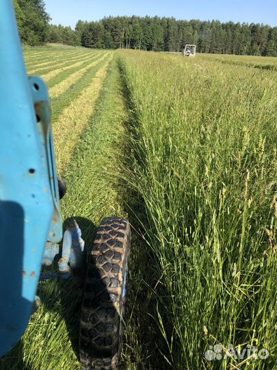 Сено посевных трав