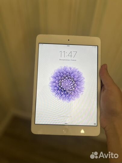 iPad mini 1