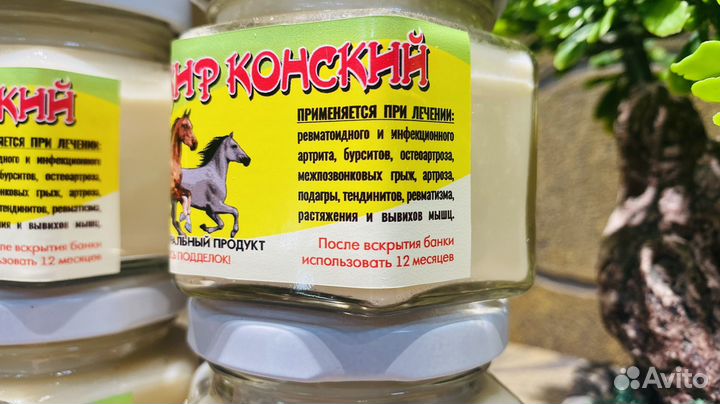 Конский жир при грыжи, артрите и артрозе