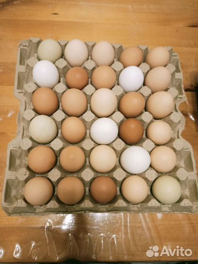 Домашние куриные яйца