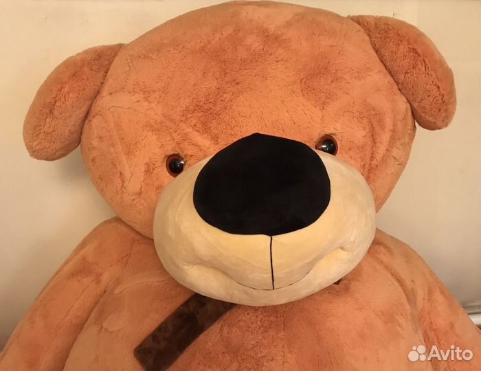 Плюшевый медведь