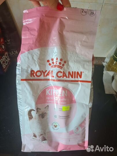 Сухой корм для котят премиум класса и когтеточка