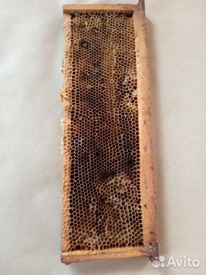 Рамки с вощиной бу для парилки