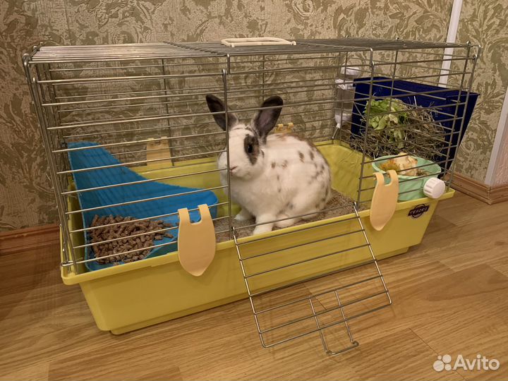Клетка для кролика