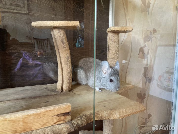 Клетка для грызунов