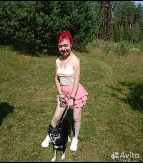 Передержка для домашних животных