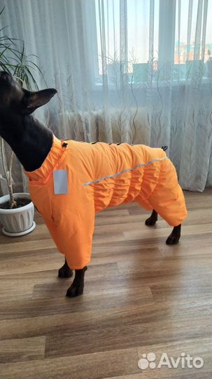 Комбинезон зимний на добермана