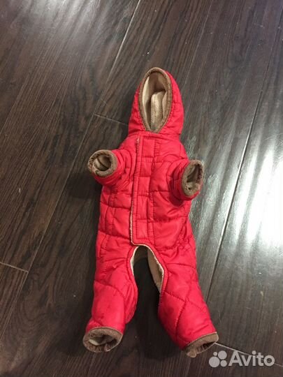 Курточка для тойчика