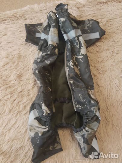 Комбинезон на французского бульдога (девочку)