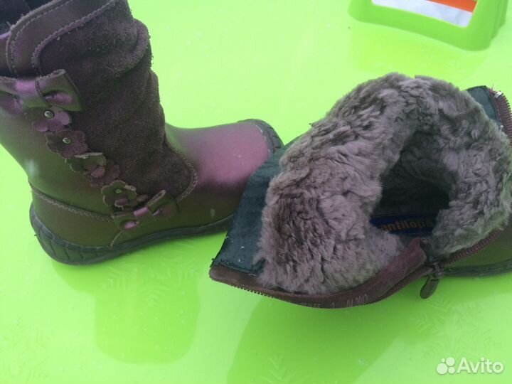 Сапоги