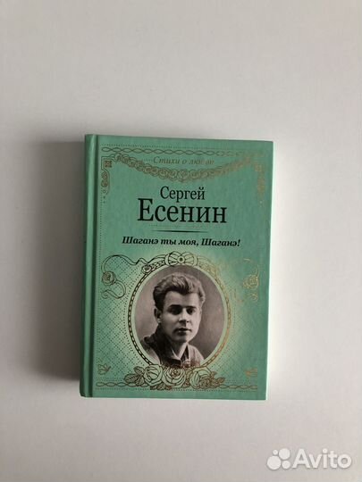 Книга Сергей Есенин