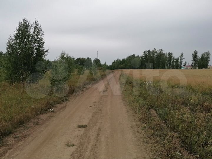 Участок 32 га (СНТ, ДНП)