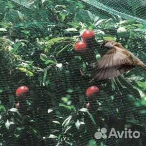 Сетка для сада от птиц