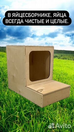 Гнездо для кур