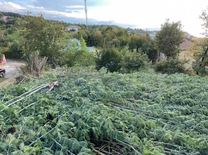 Участок 11 сот. (ИЖС)