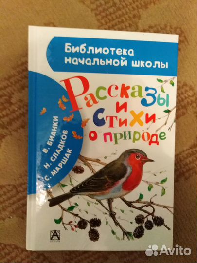 Книги для младшего школьного возраста