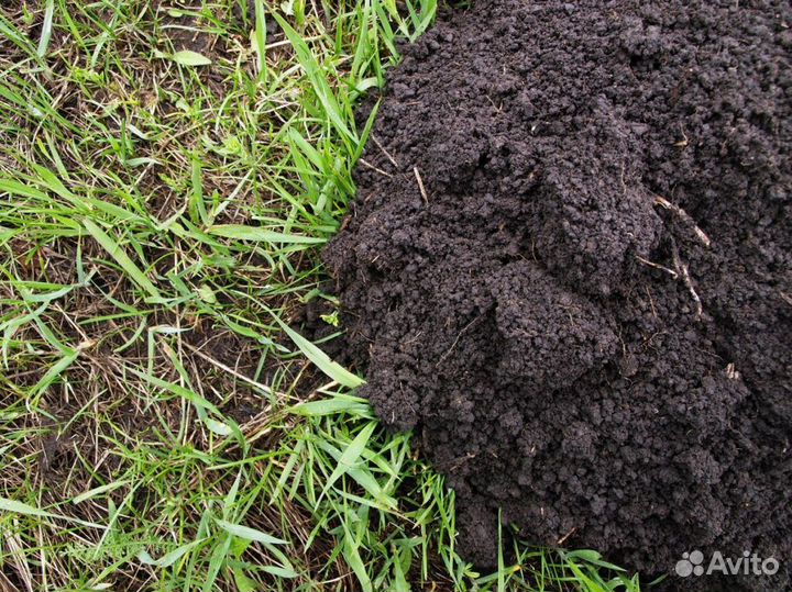 Чернозем рязанский