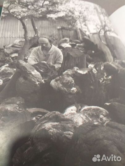 Книга- альбом,Скульптор Эрьзя