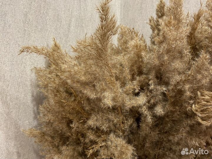 Букет из сухоцветов