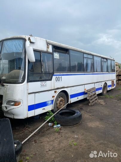 Автобус паз