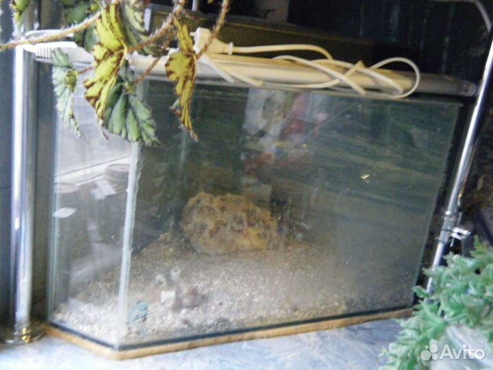 Аквариумы террариумы