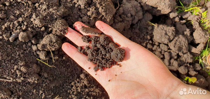 Земля плодородная, торфогрунт