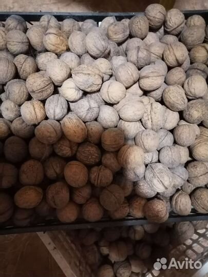 Корм для питомца(грызунчиков)