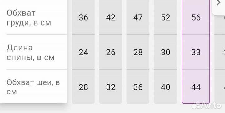 Одежда для маленьких пород собак