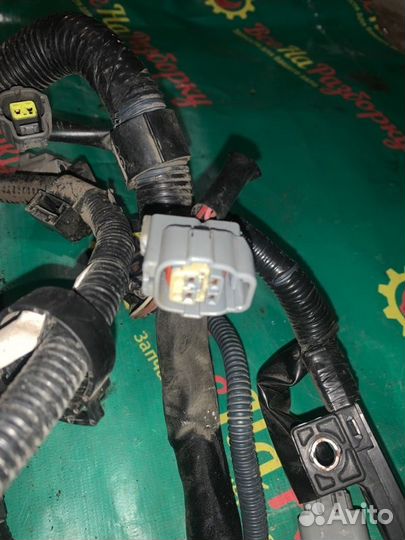 Проводка подкапотная Toyota Corolla E120 хэтчбэк