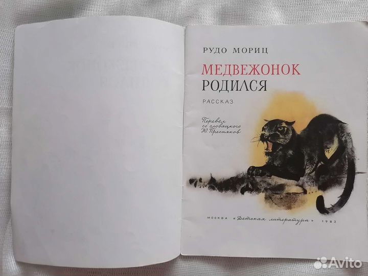 Рудо Мориц. Медвежонок родился