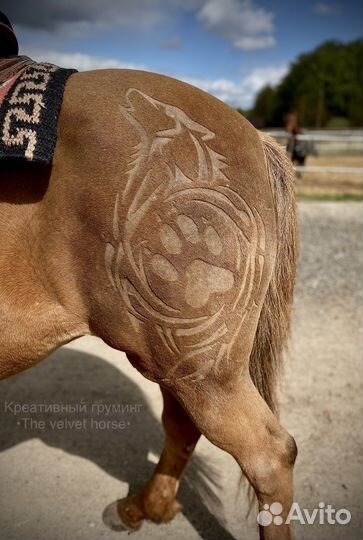 Стрижка лошадей, креативный груминг
