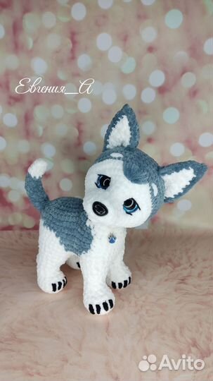 Щенок Хаски