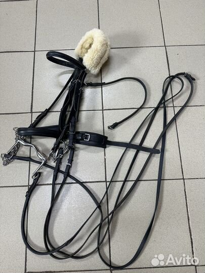 Амуниция для лошади