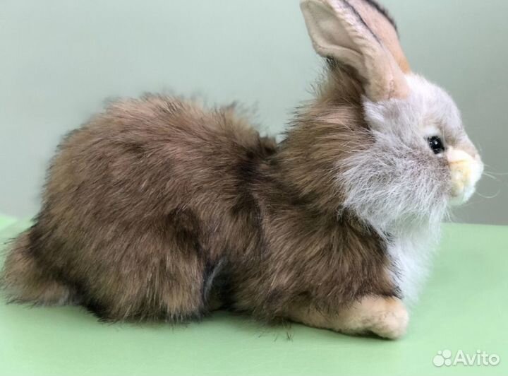 Кролик Hansa, 20 см