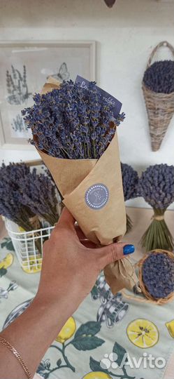 Лаванда. Букет лаванды. Сухоцветы