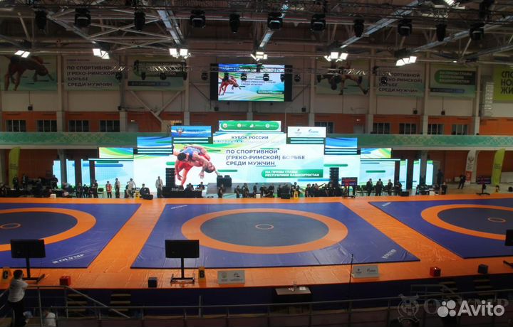 Борцовский ковер