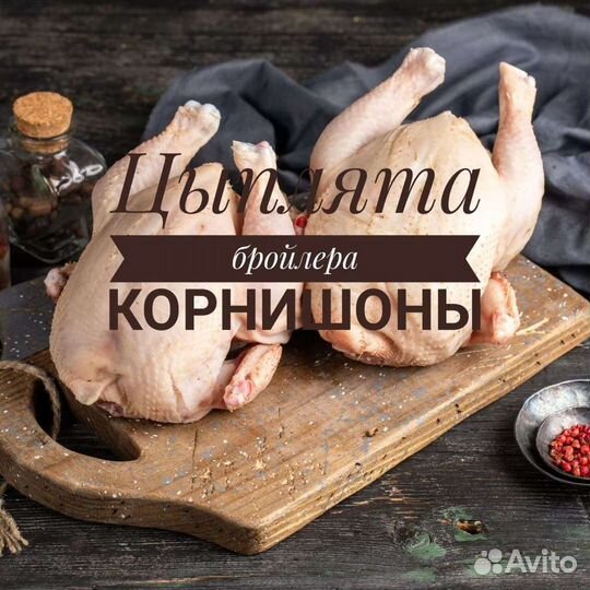 Цыплёнок бройлера корнишон