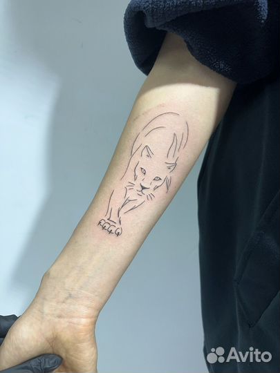 Модель на тату бесплатно