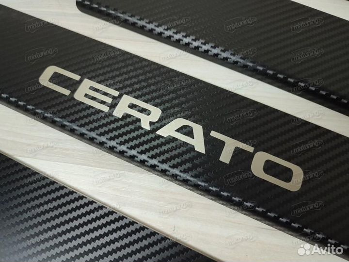 Накладки на пороги 