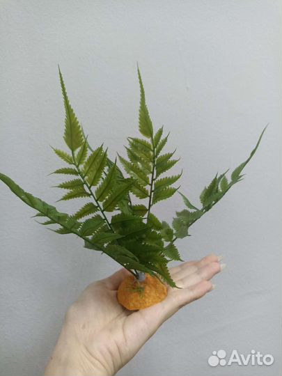 Товары для рептилий