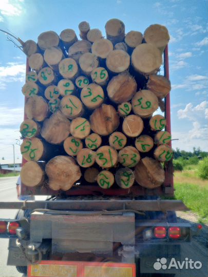 Лес кругляк пиловочник